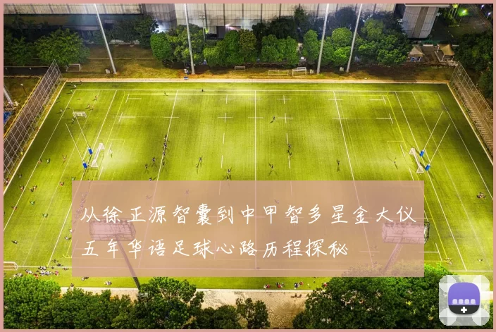 从徐正源智囊到中甲智多星金大仪五年华语足球心路历程探秘